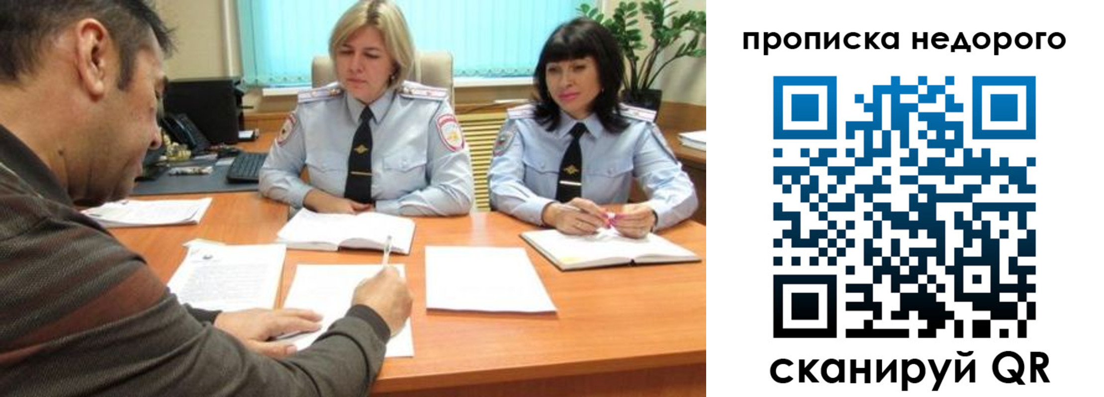 прописка поиск в Ростове